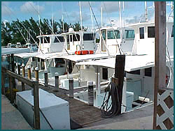Andy Griffiths Charters - Key West, Marquesas Keys and Dry Tortugas